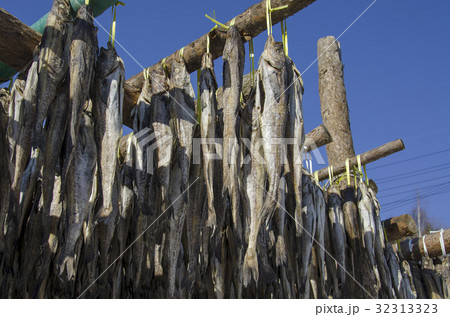 産業 平昌郡 韓国 32313323