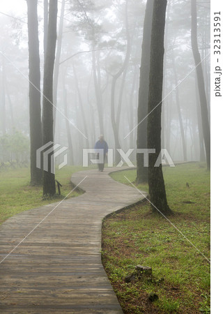 人 人間 済州島 32313591