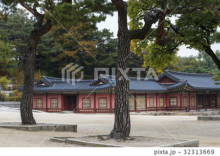 松 迎春軒 ジプボク古着 32313669