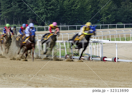 競馬 果川市 ソウル競馬公園 32313690