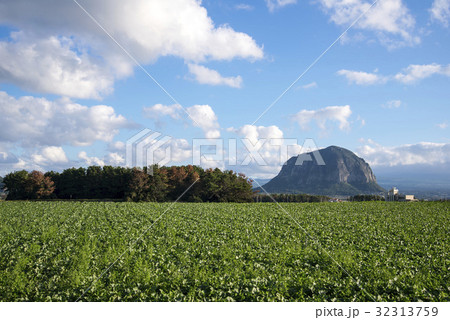 田畑 山房山 西帰浦市 32313759