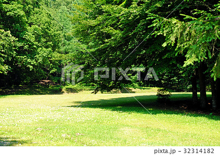 キャンプ場と湖畔のレジャー 32314182