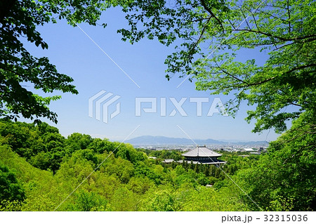 新緑の東大寺遠景 新緑の東大寺遠景 32315036