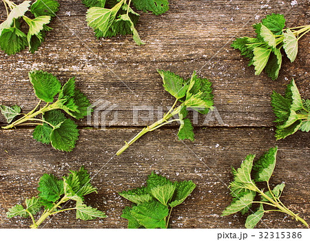 stinging nettle on a wooden background 32315386