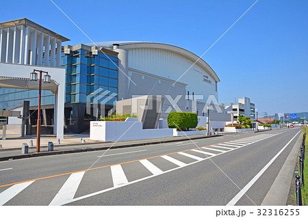 イイヅカコスモスコモン イイヅカコスモスコモン 32316255