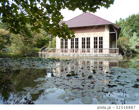河津バガテル公園のモネの池の風景 河津バガテル公園のモネの池の風景 32316887