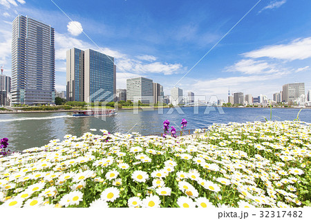 庭園のある都市風景 庭園のある都市風景 32317482