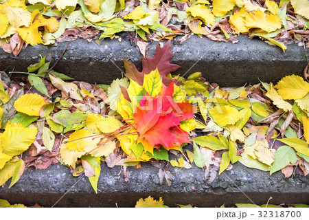 Colorful leaves on the steps of staircase 32318700
