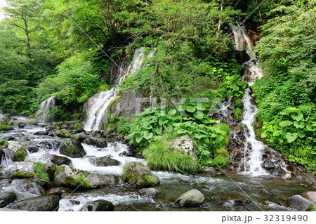 吐竜の滝(7月) 吐竜の滝(7月) 32319490