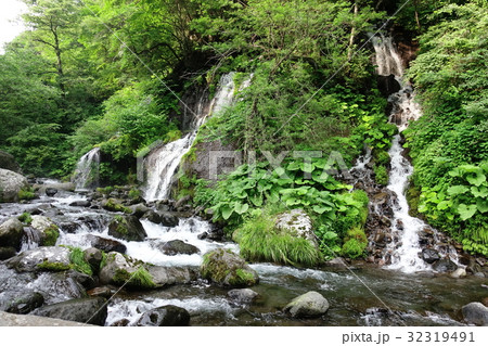 吐竜の滝（７月） 32319491