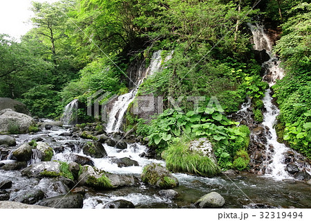 吐竜の滝（７月） 32319494