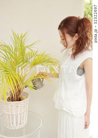 観葉植物に水を与える女性 観葉植物に水を与える女性 32322697