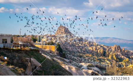 鳥 鳥綱 鳩 32322963