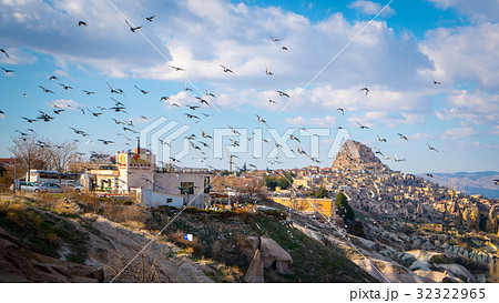 鳩 ハト 火山 32322965