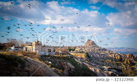 鳥 鳩 ハト 32322966