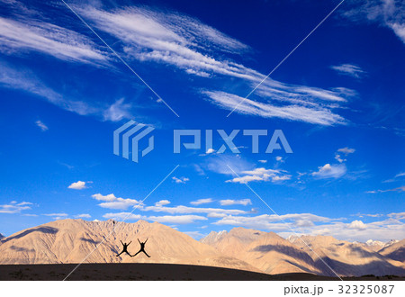 Nubra Valley, Ladakh, India 32325087