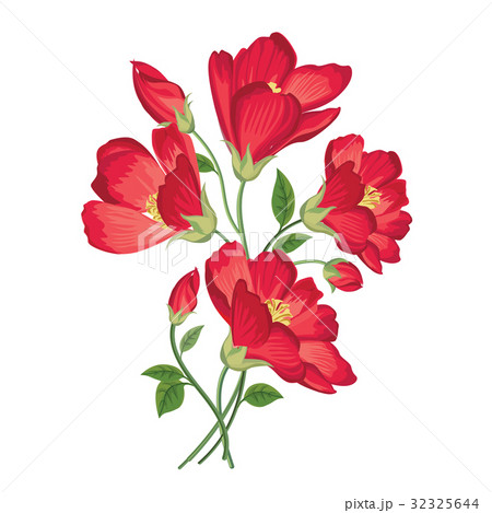 Flower bouquet. Floral summer frame. Greeting card 32325644