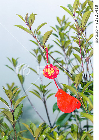 red Buddhist sign on tree in rain in Tiantou 32326419