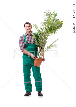 Young man gardener isolated on white 32326621