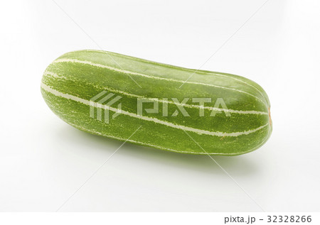 越瓜（シロウリ） 32328266