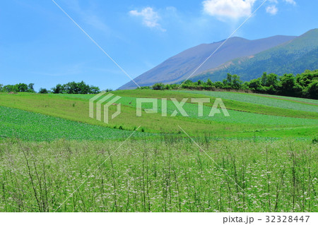 麗しき高原　その７ 32328447