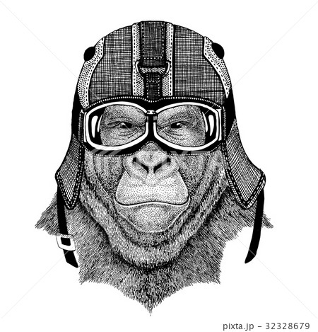 Gorilla, monkey, ape Frightful animal wearing 32328679