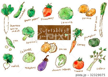 野菜アラカルト 水彩画風のイラスト素材 32329075 Pixta