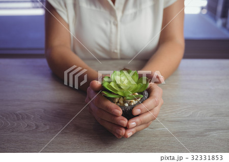 Mid section of woman holding plant 32331853