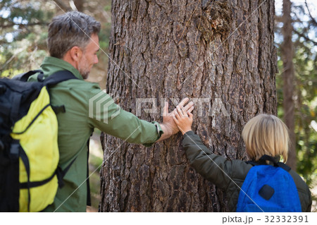 Father and son touching tree trunk in forest Father and son touching tree trunk in forest 32332391