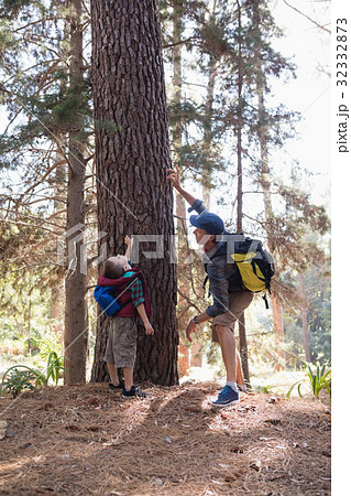 Man pointing up by boy standing in forest Man pointing up by boy standing in forest 32332873