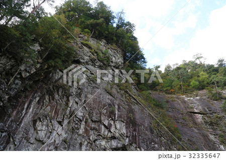 面河渓亀腹 32335647