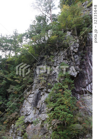 面河渓亀腹 32335648