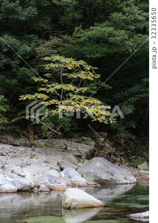 面河渓 32335650