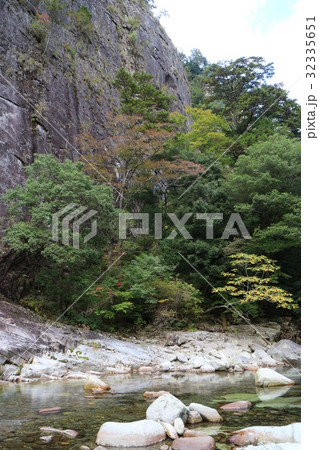 面河渓亀腹 面河渓亀腹 32335651