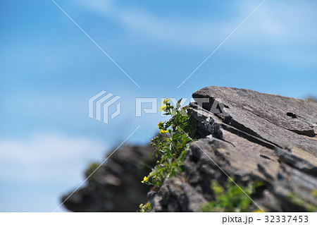 美ヶ原高原　王ヶ鼻 32337453