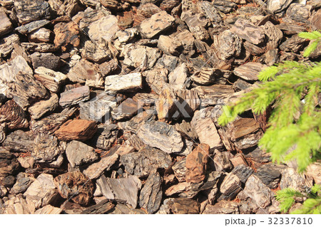 公園の花壇に敷いたバーク 公園の花壇に敷いたバーク 32337810
