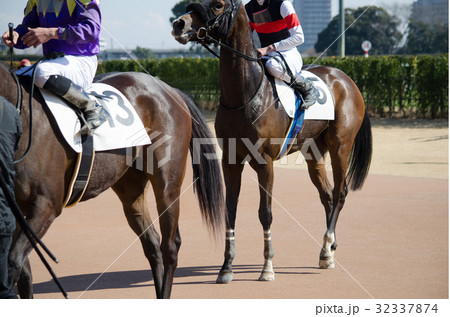 競走馬 競走馬 32337874