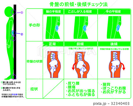 骨盤の前傾・後傾チェック法（緑色・説明あり） 32340403