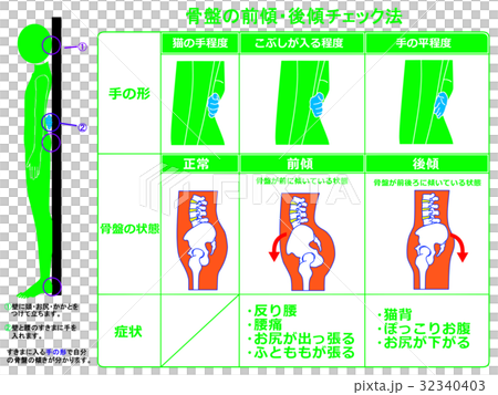 骨盤の前傾・後傾チェック法（緑色・説明あり） 32340403