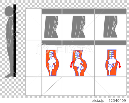 骨盤の前傾・後傾チェック法（灰色・説明なし） 32340409