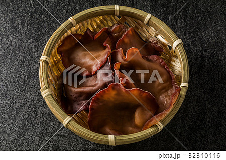 きくらげ Jew's Ear Fungus きくらげ Jew's Ear Fungus 32340446