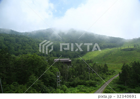 栂池自然園 信州白馬山麓 栂池自然園 信州白馬山麓 32340691