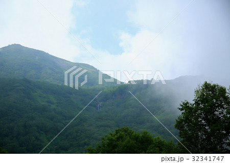 栂池自然園 信州白馬山麓 栂池自然園 信州白馬山麓 32341747