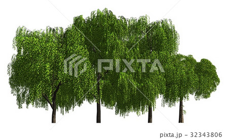 Group of trees isolated on white 3d illustration Group of trees isolated on white 3d illustration 32343806