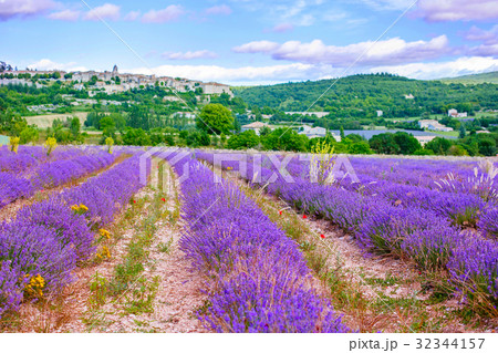 Lavender fields near Valensole in Provence, France Lavender fields near Valensole in Provence, France 32344157