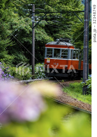 あじさいと箱根登山鉄道 32348749
