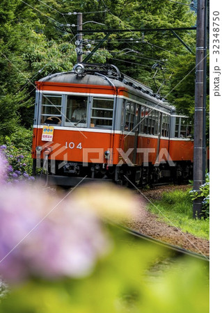 あじさいと箱根登山鉄道 32348750