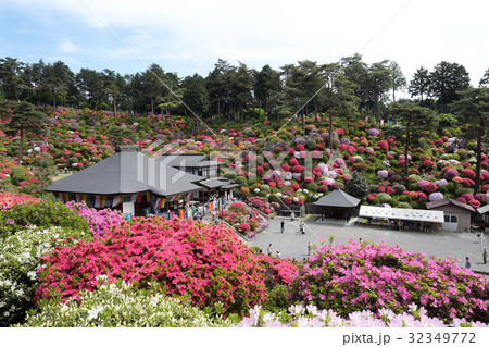 【つつじの名所・絶景】塩船観音寺 つつじまつり 32349772