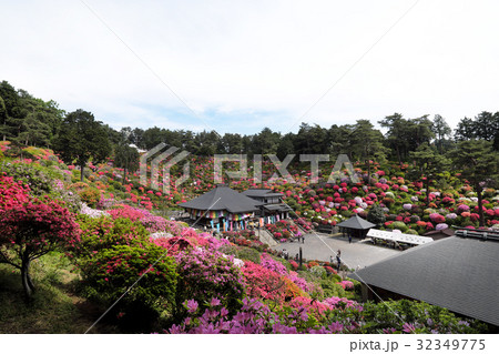 【つつじの名所・絶景】塩船観音寺 つつじまつり 32349775