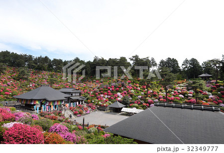 【つつじの名所・絶景】塩船観音寺 つつじまつり 32349777